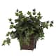 Puff Ivy with Coiled Rope Planter Silk Plant - Bed Bath & Beyond - 6272520