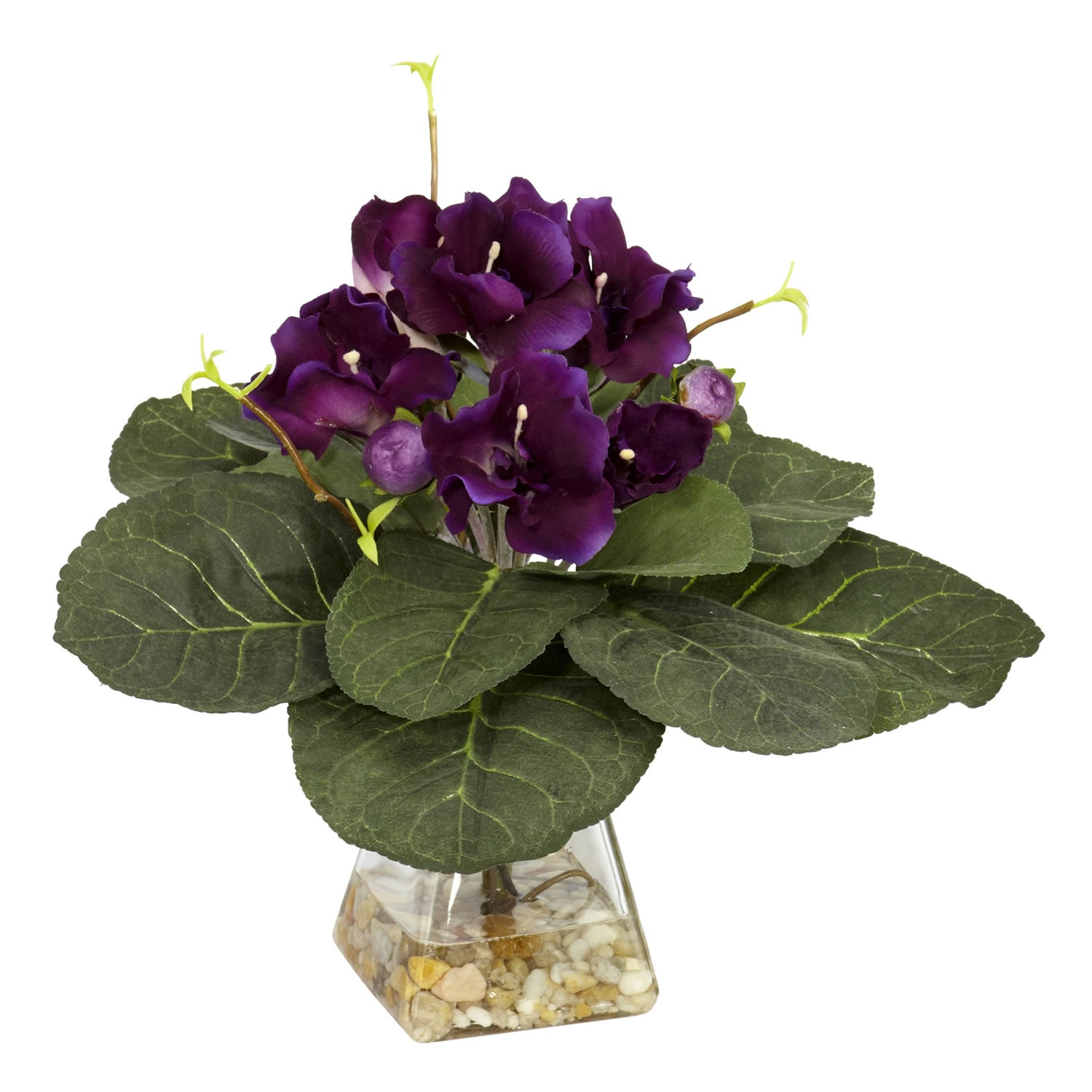 The whimsical beauty is gloxinia. Planting and care The whimsical beauty is gloxinia. Planting and care