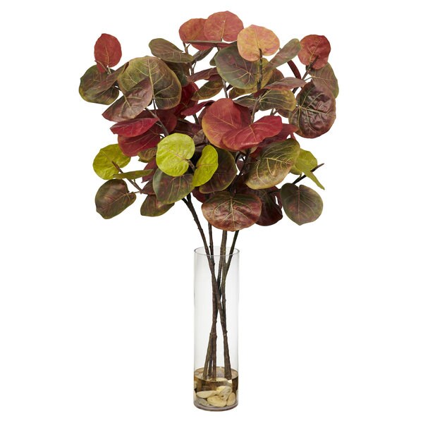 Giant Sea Grape Leaf with Large Cylinder