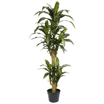 Yucca 5-foot Silk Plant