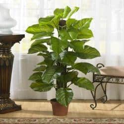 slide 1 of 2, Large 52-inch Leaf Philodendron Silk Plant (Real Touch)