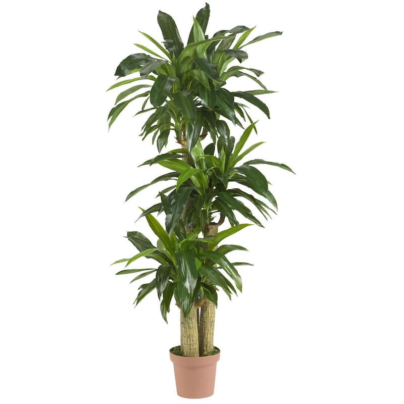 The Curated Nomad Zaius Corn Stalk Dranaena Real Touch Silk Plant - Green
