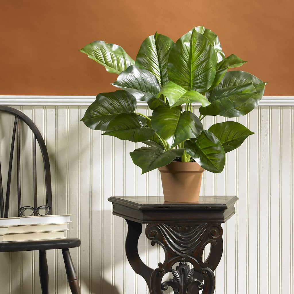 Large Leaf Philodendron Silk Plant