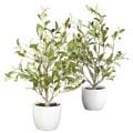 Nearly Natural Olive Silk Tree with White Ceramic Vase (Set of 2)