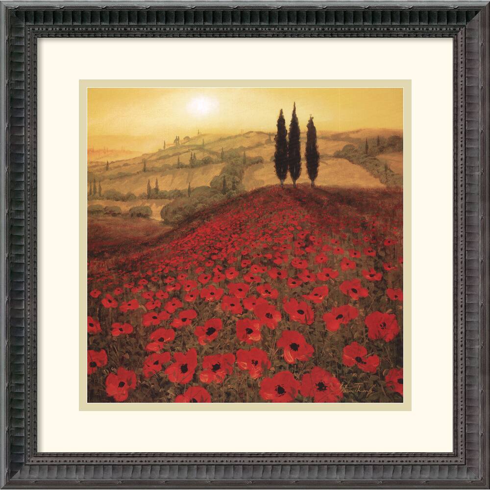 Steve Thoms 'Poppy Field' Framed Art Print