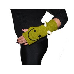 frog arm floaties