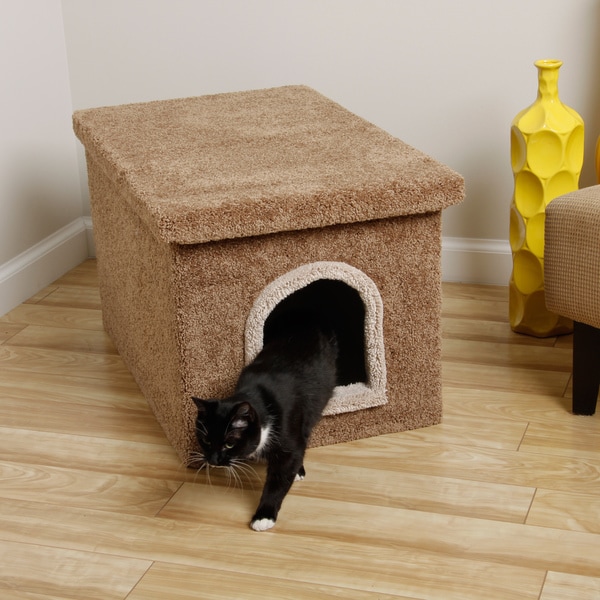cat condo enclosure