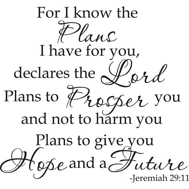 Design on Style 'Jeremiah 29:11 For I Know The Plans I Have For You Declares The Lord' Vinyl Art Quote