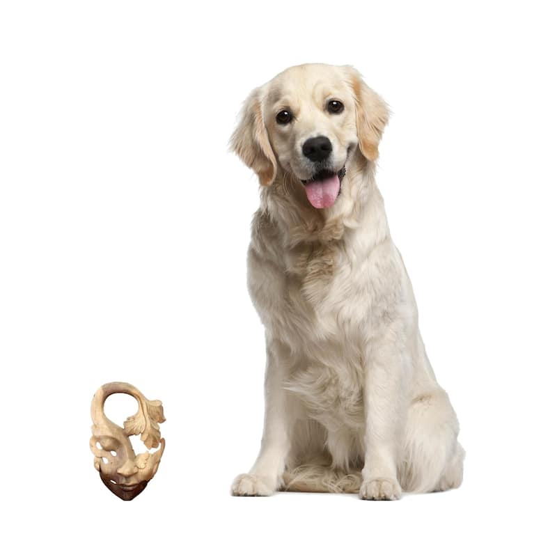 Handmade Shy Maiden Cream Ivory Beige Feminine Global Style Decorator Accent Suar Wood Wall Art Work Mask (Indonesia) - Brown