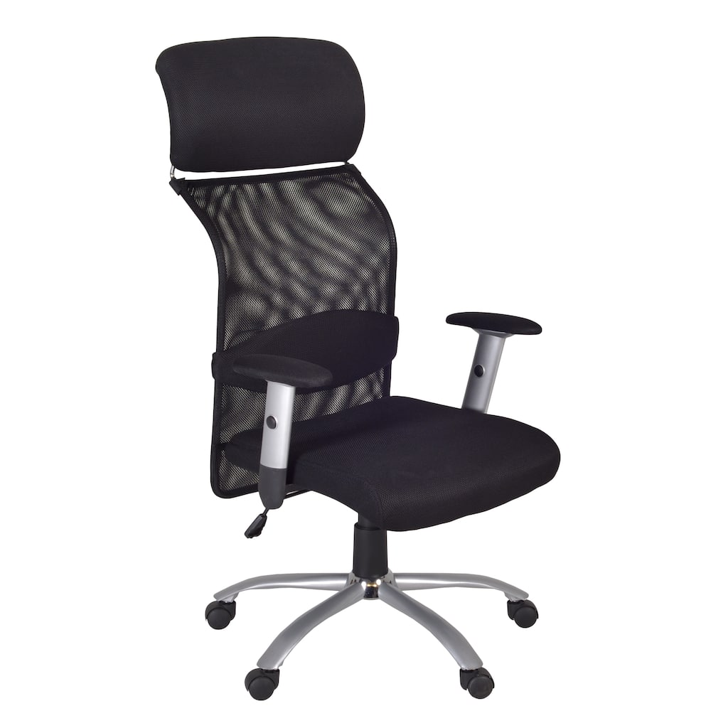 Apire Lumbar Support High Back Office Chair