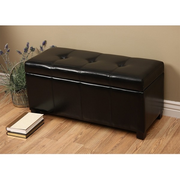 Warehouse of Tiffany Ariel Dark Brown Faux-Leather Storage Bench