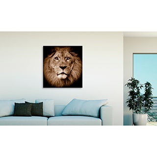 Gallery Direct Lion Oversized Gallery Wrapped Canvas - Bed Bath ...