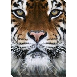 Gallery Direct Tiger Oversized Gallery Wrapped Canvas