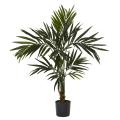 Kentia 5-foot Silk Tree