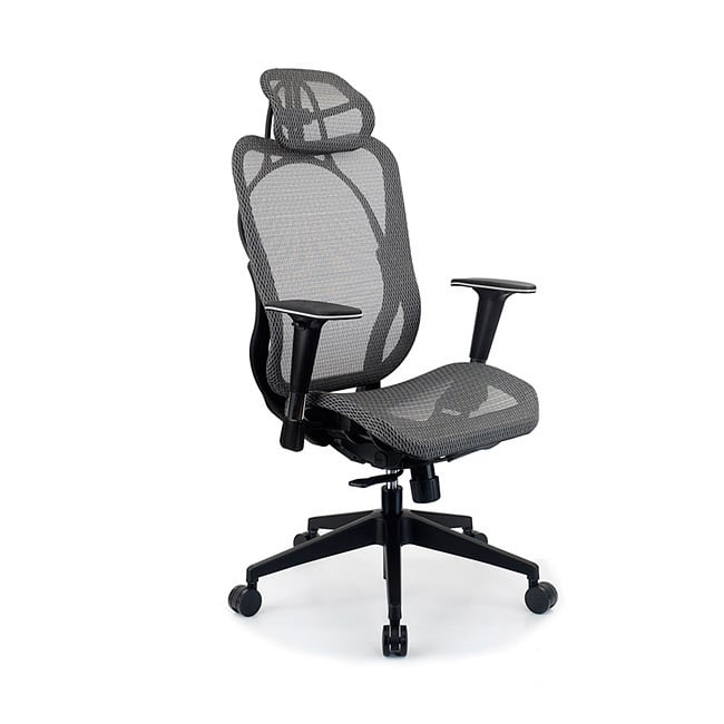 Integrity Seating Ergonomic Mesh High Back Executive Office Chair