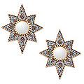 Radiant Flower Stars Artisan Handmade Glass Mohena Wood Home Decor Blue Accent Hall Bedroom Bathroom Pair Wall Mirrors (Peru)