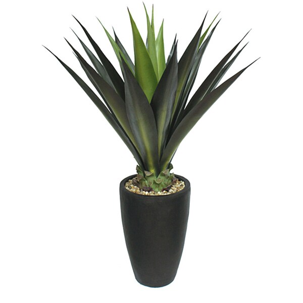 Shop Laura Ashley 44 Inch Realistic Silk Giant Aloe Plant  