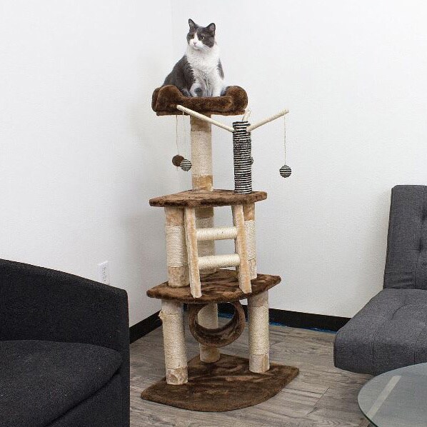 Kitty Mansions Athens Cat Tree Furniture
