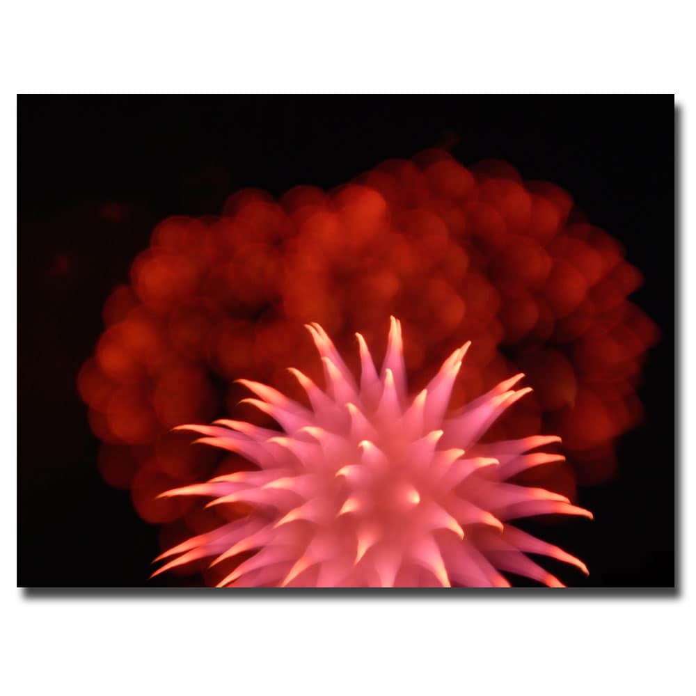 Kurt Shaffer Abstract Fireworks Canvas Art