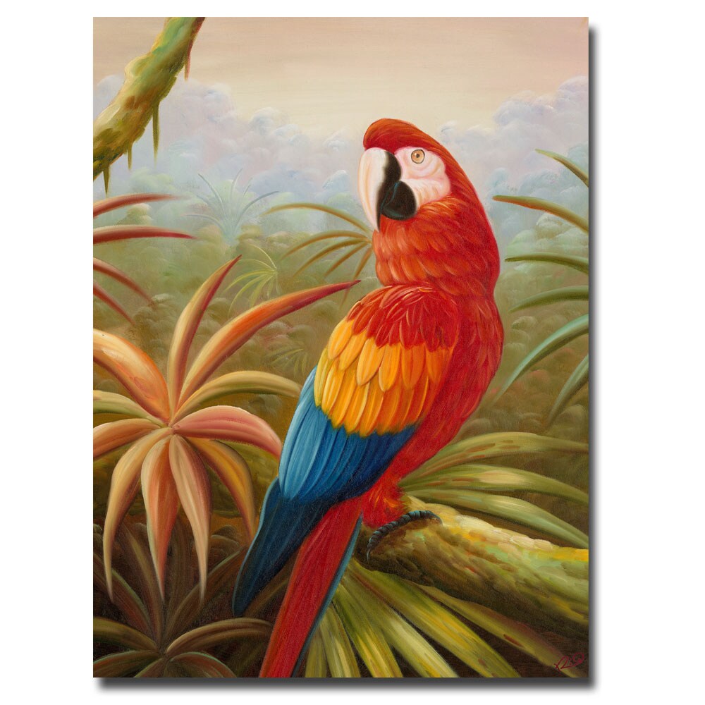 Rio 'Amazon Rain Forest' Canvas Art