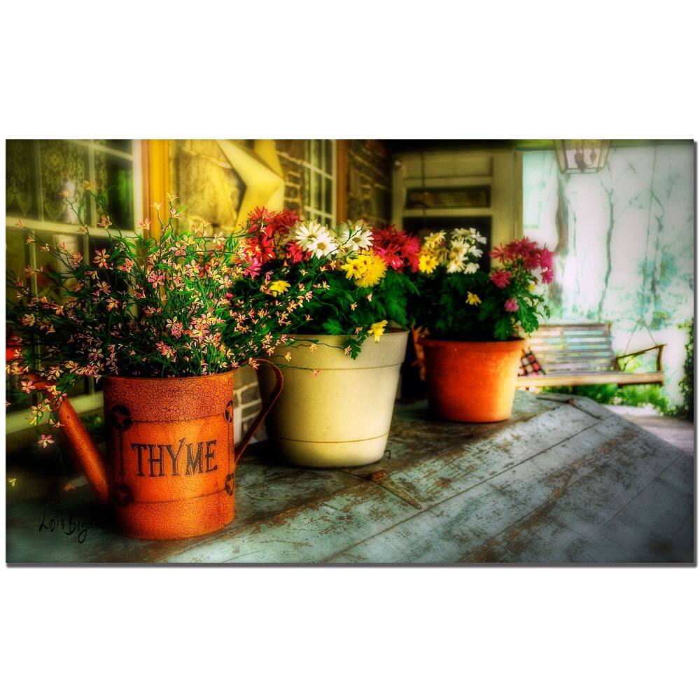 Lois Bryan 'The Porch Swing' Canvas Art