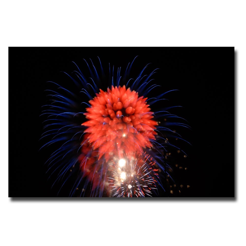 Kurt Shaffer Abstract Fireworks II Canvas Art  