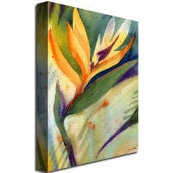 Sheila Golden 'Bird of Paradise' Canvas Art Trademark Fine Art Canvas