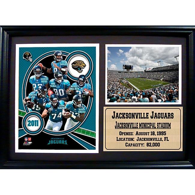 2011 Jacksonville Jaguars 12 x 18 Photo Stat Frame