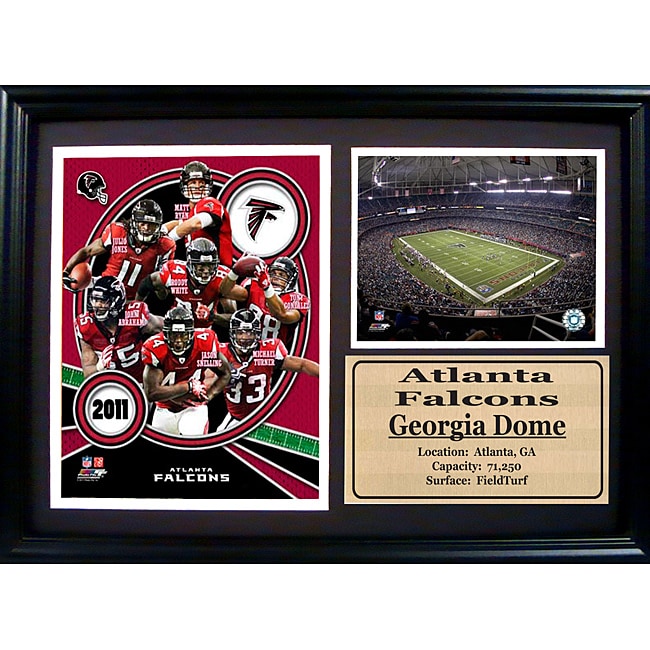 2011 Atlanta Falcons 12 X 18 Photo Stat Frame
