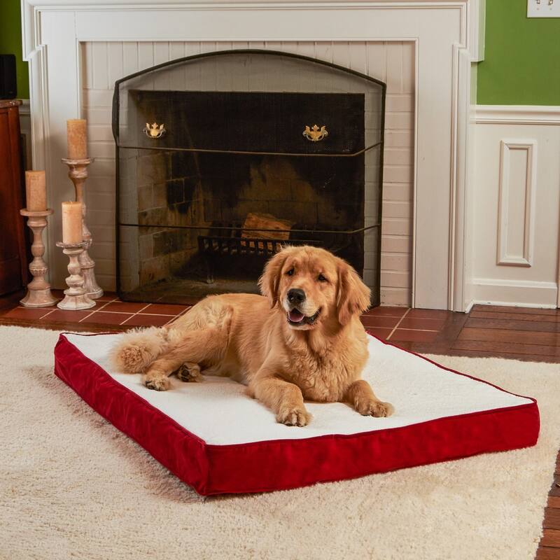 Happy Hounds Ozzie Deep Red Orthopedic Dog Bed