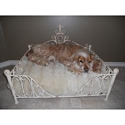 world market pet bed