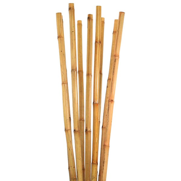 Shop Laura Ashley Natural Color Bamboo Pole (9 Poles) - Free Shipping ...