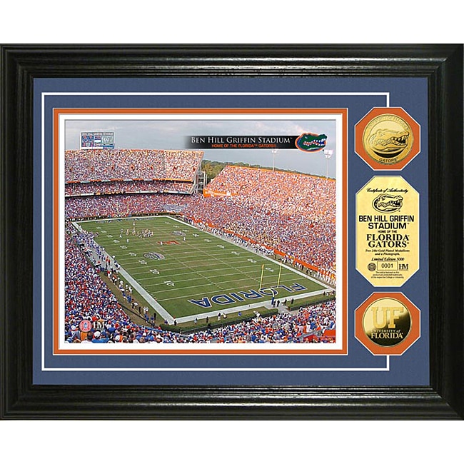 Florida Gators Stadium Pet Bed