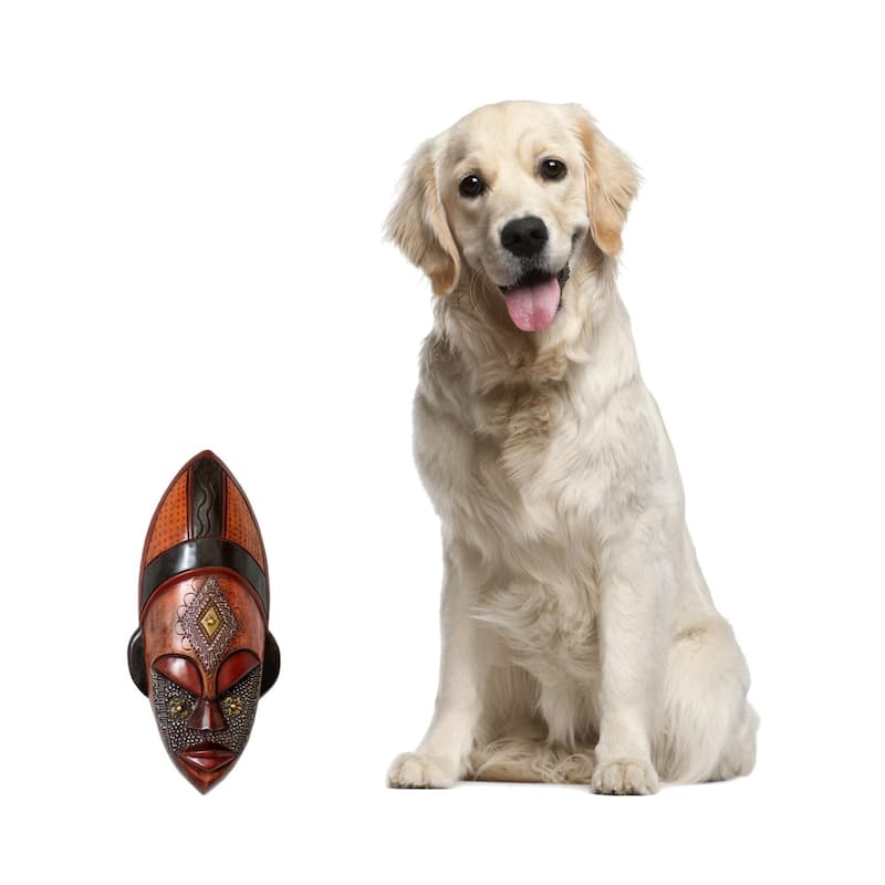 Handmade Serene Face Tribal Sese Wood Mask (Ghana) - 17.75" H x 7.25" W x 3.1" D