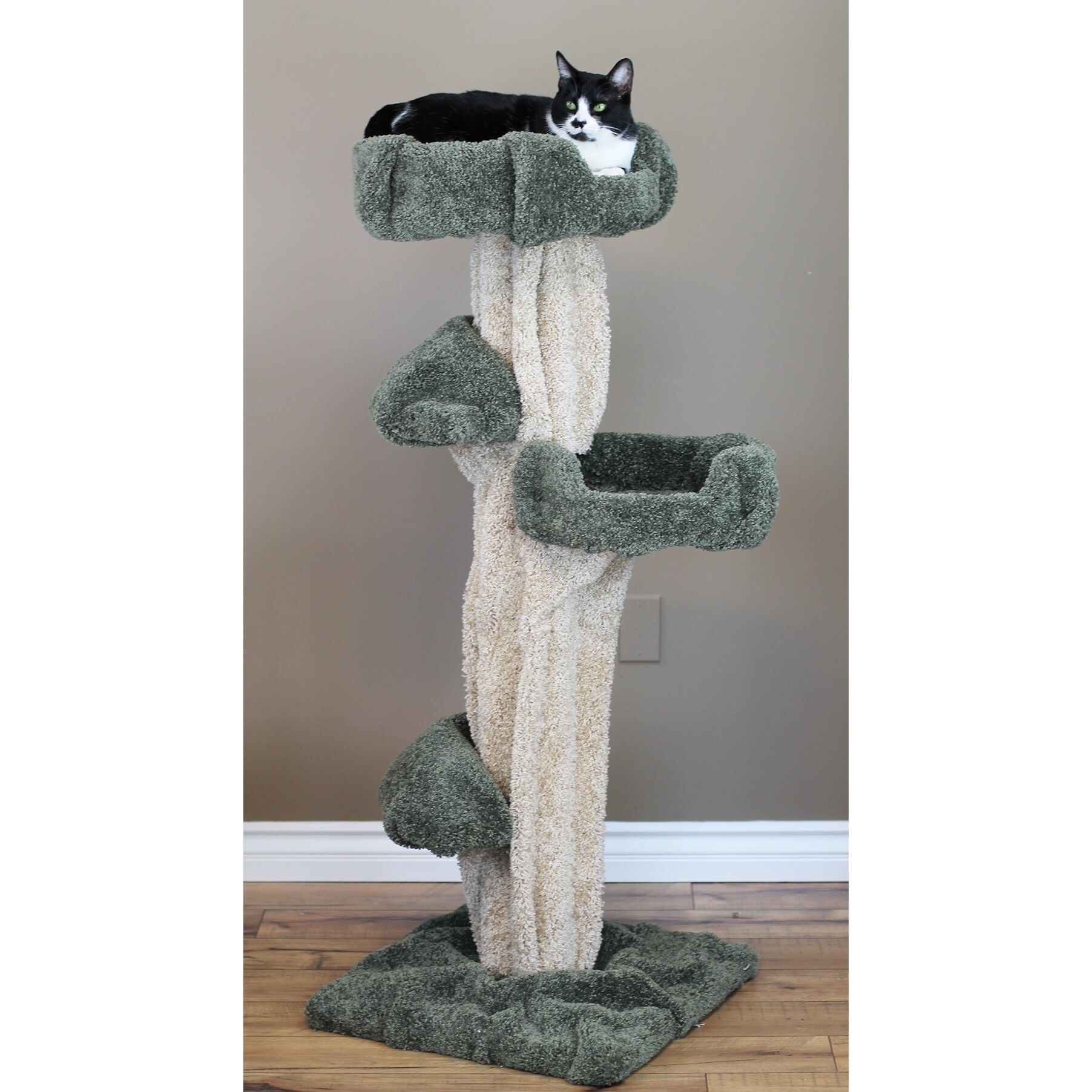 new cat condos large cat tower