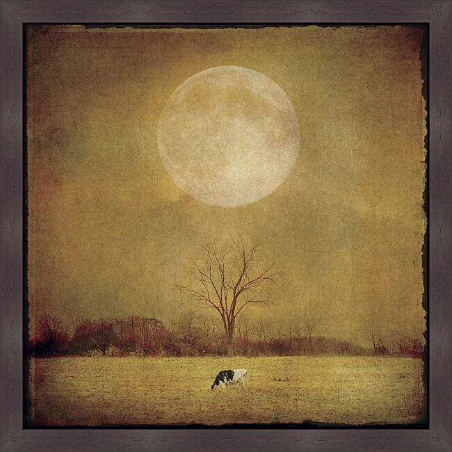 Dawne Polis 'One Cow' Framed Print