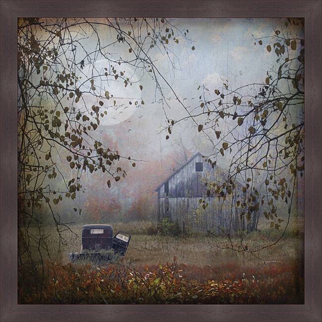 Dawne Polis 'Seen Better Days' Framed Print - Multi