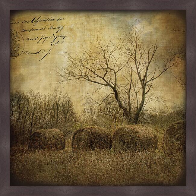 Dawne Polis 'Hayrollers' Framed Print Art - Multi