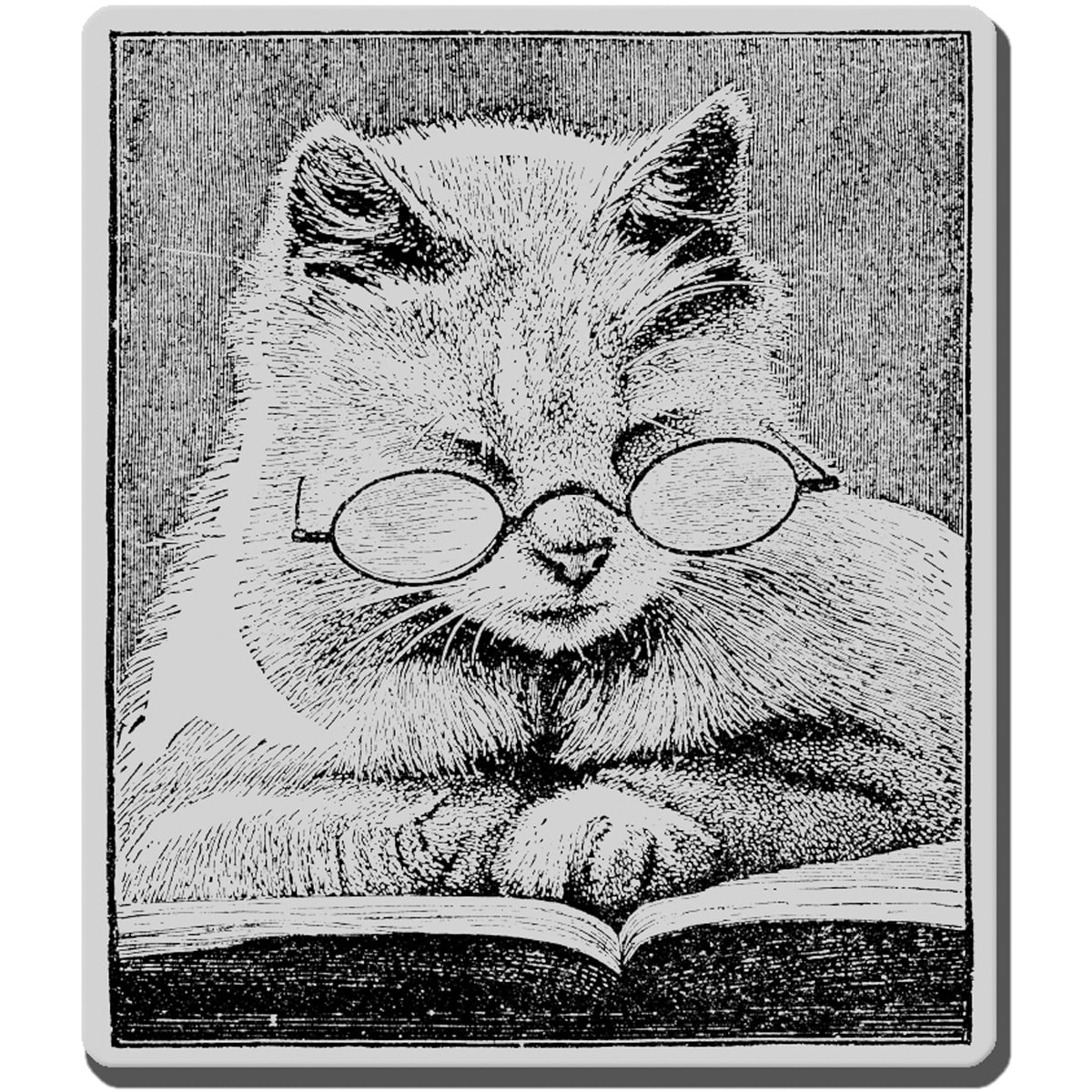 Stampendous Cattus Librum Cling Rubber Stamp