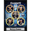 Buffalo Sabres 2010 Stat Plaque