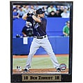 Tampa Bay Rays Ben Zobrist Stat Plaque
