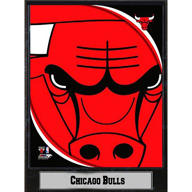 Chicago Bulls 2011 Logo Plaque