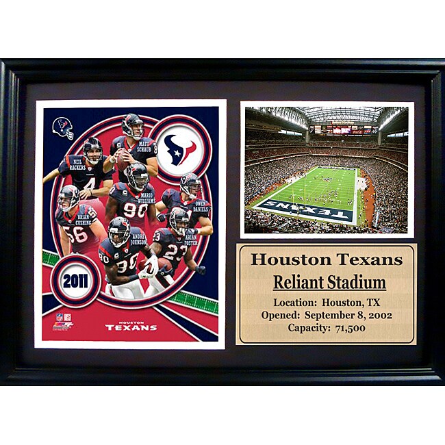 Houston Texans 2011 Photo Stat Frame