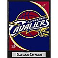 Cleveland Cavaliers 2011 Logo Plaque
