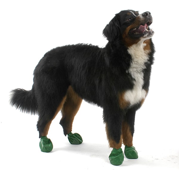 pawz large dog boots