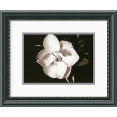 Sara Liu 'Magnolia' Framed Art Print