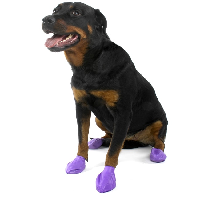 ice pack booties