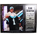 Carolina Panthers Cam Newton Stat Plaque