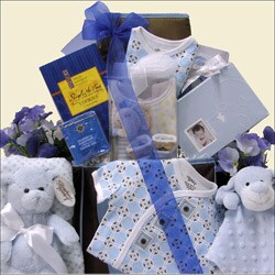 Welcome Home Baby Boy Gift Basket