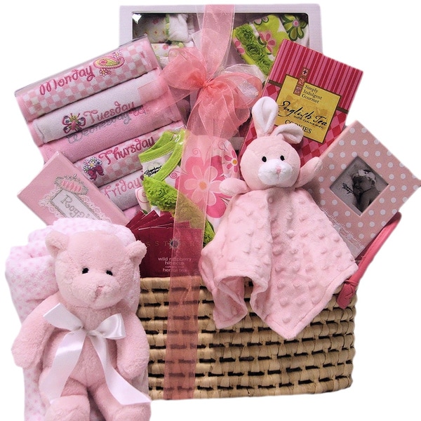 Great Arrivals Welcome Home Baby Girl Gift Basket